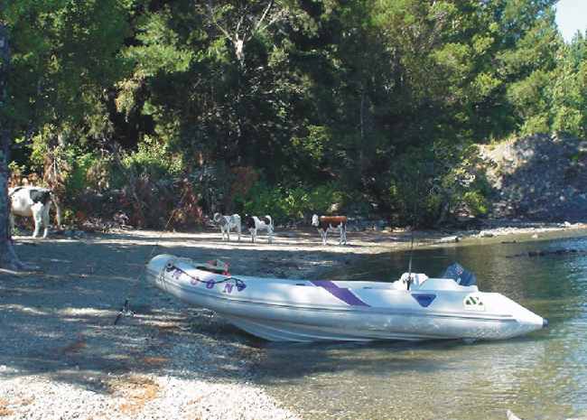 MOON 440 T Semi rigid inflatable boat ribs rhibs lunamar boatyard bariloche cows in beach