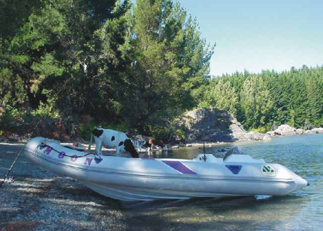 MOON 440 T Semi rigid inflatable boat ribs rhibs lunamar boatyard bariloche cows in beach