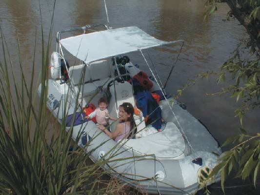 stainless sunshade, radar arch, antennas, tower console with stainless handrail, case seats