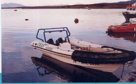 MOON 900 Work Rigid Hull Inflatable Boat  transport passangers profesional work
