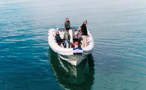 MOON 1040 Work Rigid Hull Inflatable Boat whale watch profesional work