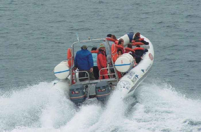 moon 1040 semi rigid inflatable boat transport people load tourism whatch whales dolphins patagonia