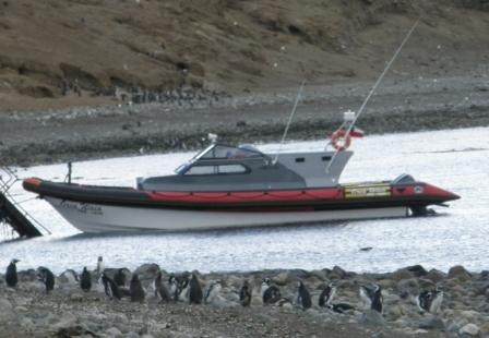 MOON 1190 Work Interceptor. tours navigation patagonia, crafts ribs boats passangers  transportation military coastguards glaciers