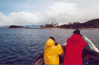 Journey to Almirantazgo Shelter  in Tierra del Fuego Patagonia Adventure Tourism