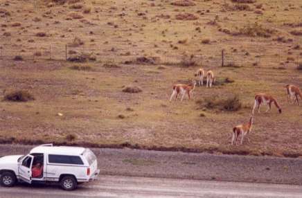 Travel to Puerto Natales and Torres del Paine Patagonia Adventure Tourism